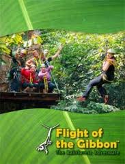 flight of the gibbon